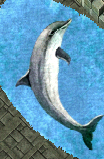Dolphin Rug